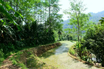 Background-image
