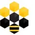 organization avatar