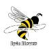 organization avatar