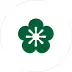 organization avatar