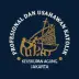 organization avatar